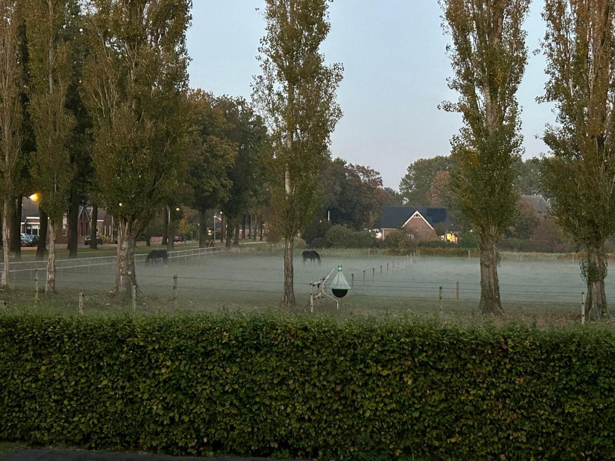 De Cordobahoeve Tweede Exloermond Buitenkant foto